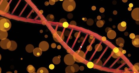 Digital dna helix with bokeh lights on dark background