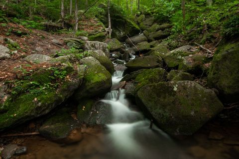 Serene forest stream cascading over lush moss-covered rocks