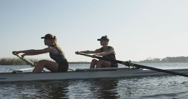 Women Rowing Team Practicing on Calm Lake - Download Free Stock Images Pikwizard.com