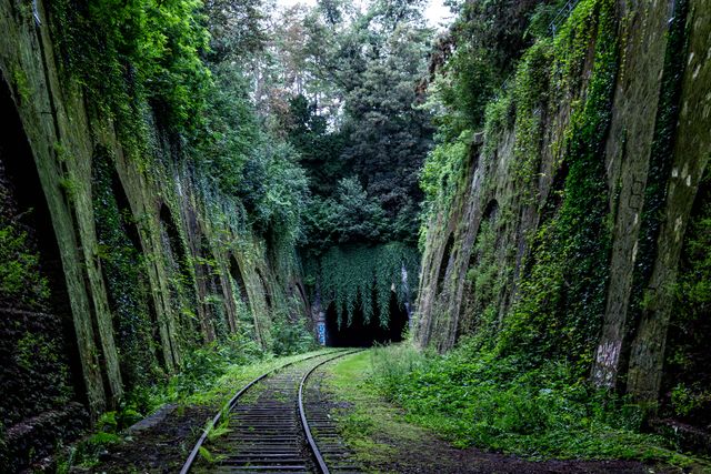 Abandoned Overgrown Railway Tunnel with Vivid Greenery - Download Free Stock Photos Pikwizard.com