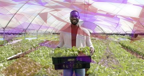 Innovative African American Farmer Embracing Modern Greenhouse Techniques