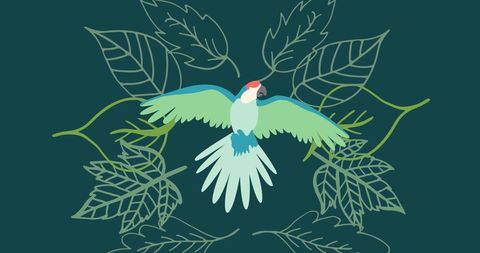 Colorful Parrot Illustration on Green Leaf Background