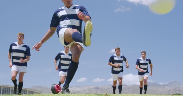 Rugby Players Kicking Ball on Sunny Field in Intense Game - Download Free Stock Images Pikwizard.com