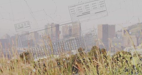 City meadow with swaying grasses and translucent data dashboards overlaying skyline concept