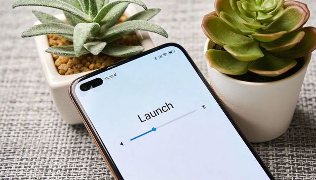 Smartphone launch slider flatlay with dual-punch front camera and succulent desktop