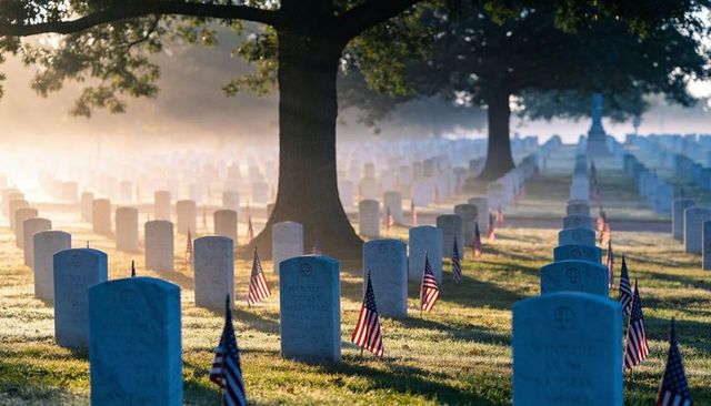 Sunrise military cemetery rows of white headstones with american flags under oak tree
