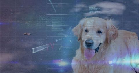 Innovative Dog: Golden Retriever with Futuristic Digital Overlay