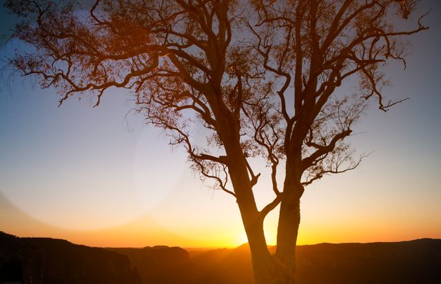 Silhouette Of Tree With Sunset Over Mountains - Download Free Stock Photos Pikwizard.com