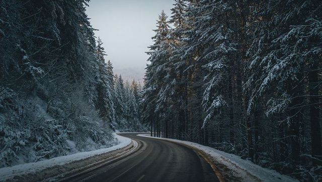 Winding mountain road with wet pavement through snow-covered evergreen forest in mist