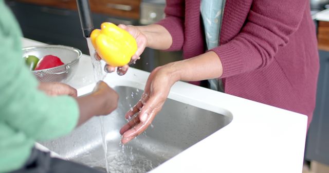 Family Washing Vegetables at Kitchen Sink - Download Free Stock Images Pikwizard.com