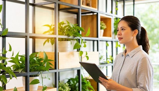 Woman holding tablet inspecting sunlit indoor plant display on modern metal shelving