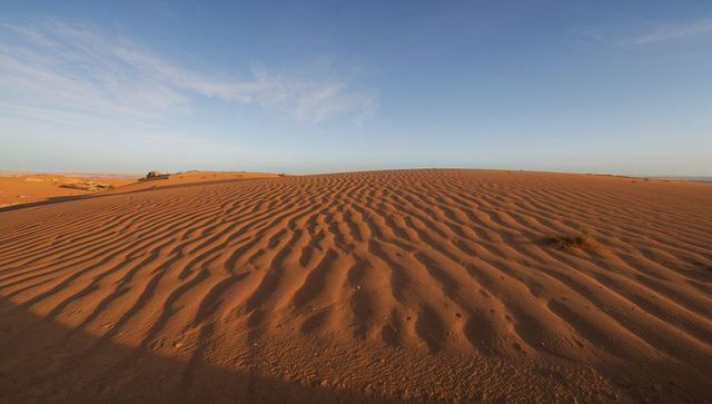 Sunlit desert dunes showing wind-sculpted ripples and lone grass tuft under clear sky