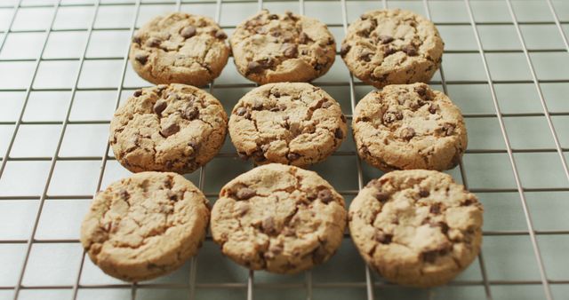 Freshly baked chocolate chip cookies cooling on a metal rack, displaying a crispy texture with visible chocolate chips. Ideal for use in advertising pastry shops, dessert recipes, baking tutorials, and promotions for home cooking or foodie blogs.
