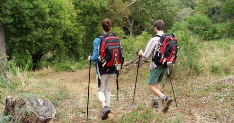 Two Hikers Walking with Backpacks in Tranquil Forest Trail - Download Free Stock Images Pikwizard.com
