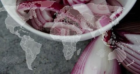 Onion bowl with world map overlay demonstrating global cuisine influence