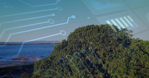 Coastal shrub with translucent circuit overlay symbolizing green tech and coastal data