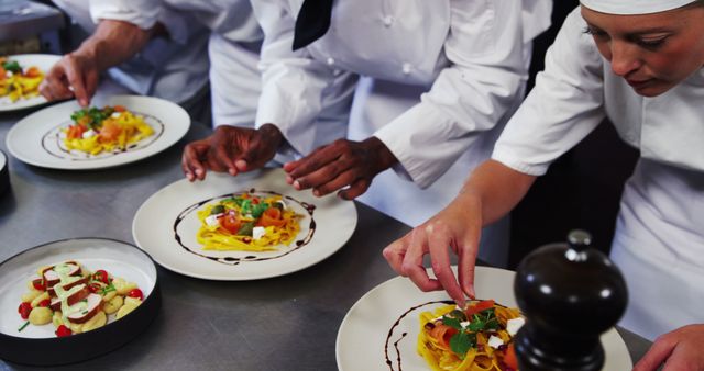 Professional Chefs Plating Dishes in Busy Restaurant Kitchen - Download Free Stock Images Pikwizard.com