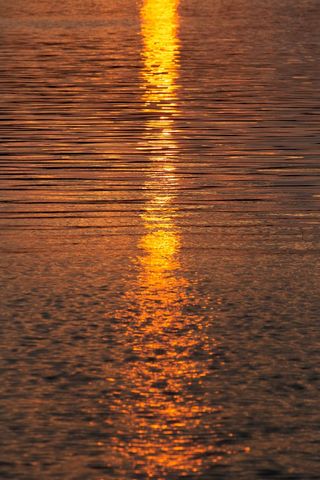 Golden sunset reflection stretching down rippling water surface creating warm vertical glow