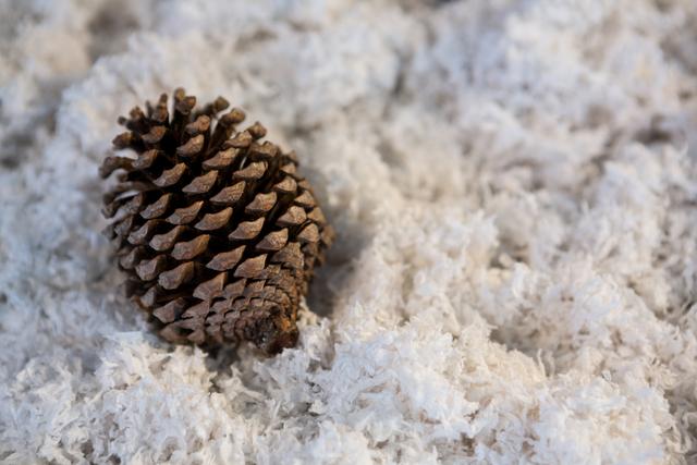 Pine cone resting on artificial snow, perfect for Christmas and winter-themed decorations. Ideal for use in holiday cards, festive advertisements, seasonal blog posts, and nature-inspired decor ideas.