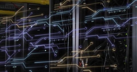 Data center server racks with digital circuit overlay