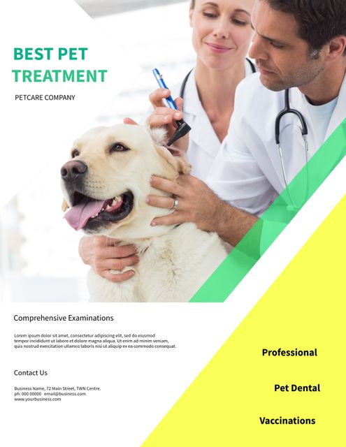 Vet Examining Happy Dog Promoting Trusted Pet Care and Services - Download Free Stock Templates Pikwizard.com