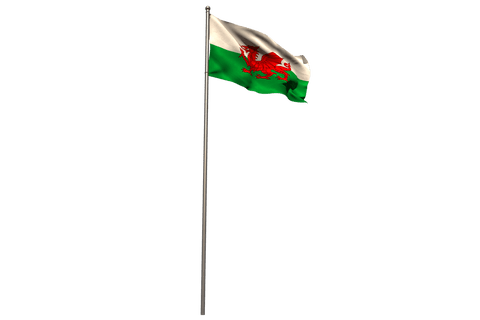 transparent welsh flag waving on tall pole against isolated background - Download Free Stock Videos Pikwizard.com