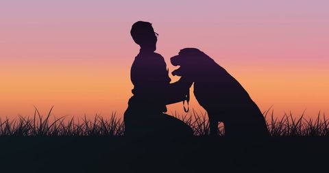 Heartwarming Silhouette of Man and Dog at Sunset