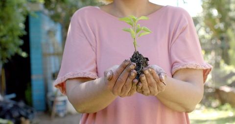 Elderly Woman Nurturing Young Plant in Garden