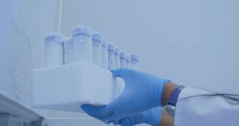 Placing frosted cryobox with cryovials into ultra-low freezer by gloved lab technician