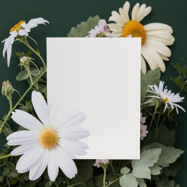 Blank white card situated amidst daisies against a green background. Perfect for spring or summer themed invitations, greeting cards, or floral designs. Ideal for adding custom text, celebrating events, or creating promotional materials with a natural, fresh aesthetic.