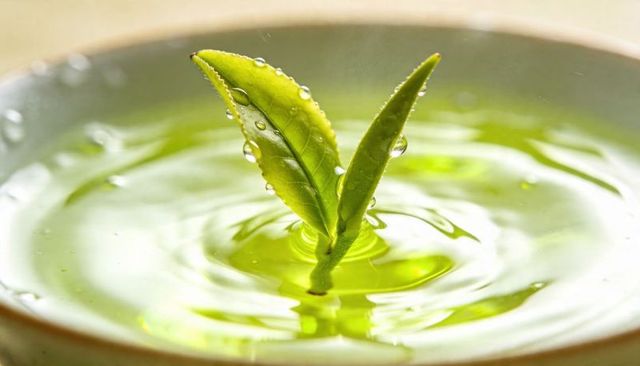 Fresh green tea leaves rising from cup with dew droplets and soothing ripples
