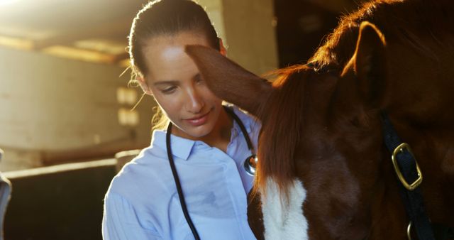 Veterinarian Examining Horse at Stable with Sunlit Background - Download Free Stock Images Pikwizard.com