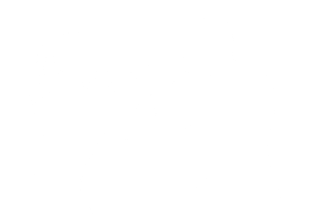 Transparent Silhouettes of Male and Female Boxers Facing Each Other - Download Free Stock Videos Pikwizard.com