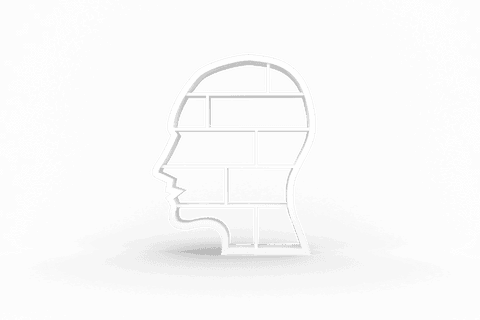 transparent bookshelf shaped like head for literature enthusiasts - Download Free Stock Videos Pikwizard.com