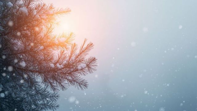 Snow-laden pine branch glowing in warm backlight with falling flakes and soft bokeh