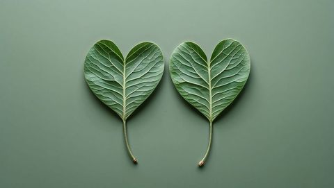 Heart-Shaped Green Leaves with Prominent Venation on Green Surface