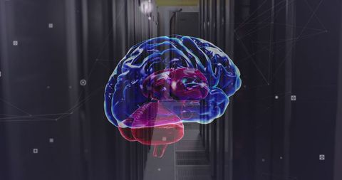 Digital Brain Network Integration in Server Room - Download Free Stock Images Pikwizard.com