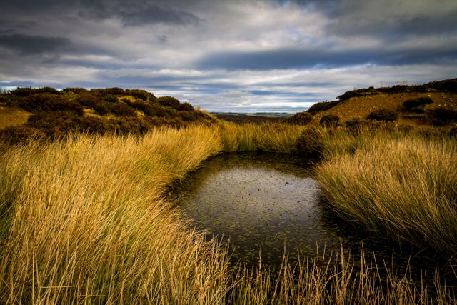 Idyllic landscape marsh moors - Download Free Stock Photos Pikwizard.com
