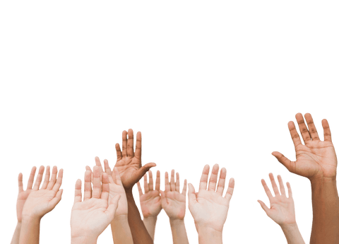 Various Hands Raising in Transparent Background - Download Free Stock Videos Pikwizard.com