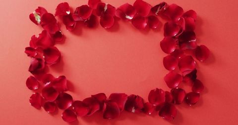 Romantic Red Petals Frame on Vibrant Background - Download Free Stock Images Pikwizard.com