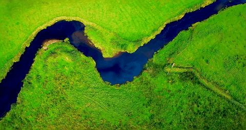 Serene River Curving Through Lush Green Landscape, Aerial Perspective