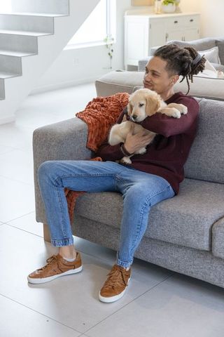 Man cuddling golden retriever puppy on modern gray sofa, relaxing in cozy living room