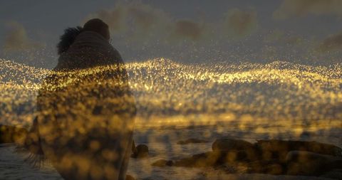 Couple Hugging Under Blanket on Rocky Shoreline at Romantic Sunset