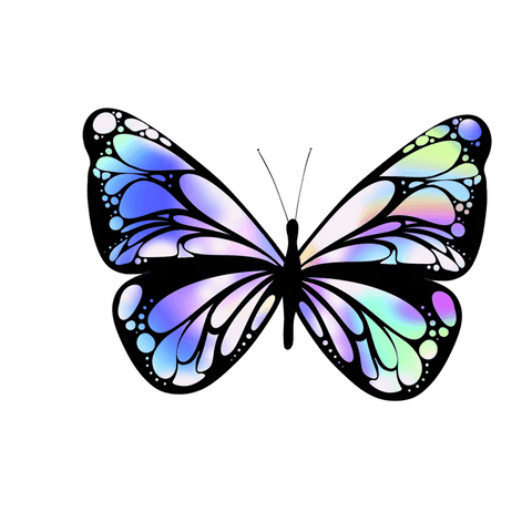 Whimsical Pastel Butterfly with Transparent Background - Download Free Stock Videos Pikwizard.com