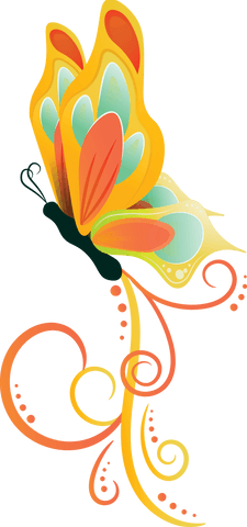 Colorful Abstract Butterfly on Transparent Background - Download Free Stock Videos Pikwizard.com