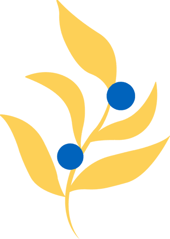 Yellow leaves with blue berries on transparent background botanical illustration