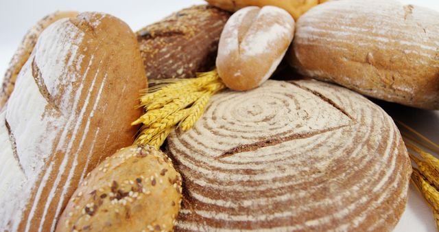Various types of freshly baked bread loaves arranged with wheat stalks, showcasing rustic artisanal bread. Suitable for use in bakery advertisements, baking blogs, food packaging designs, recipe illustrations, and culinary magazines.