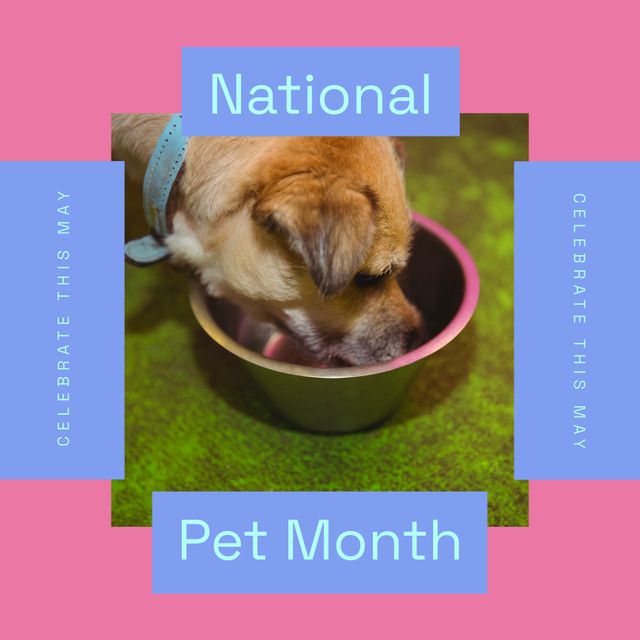 Celebrate National Pet Month with Adorable Puppy Eating from Bowl - Download Free Stock Templates Pikwizard.com