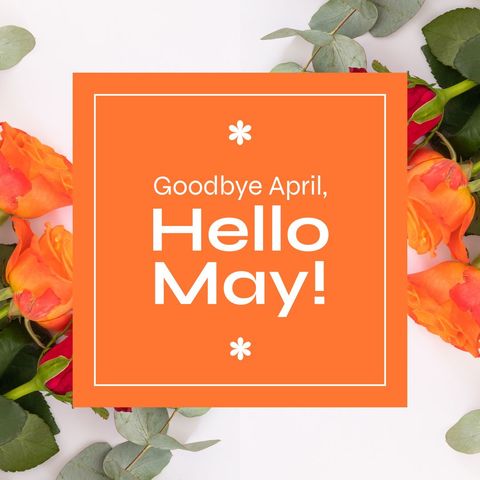 hello may greeting with vibrant orange roses in background - Download Free Stock Templates Pikwizard.com