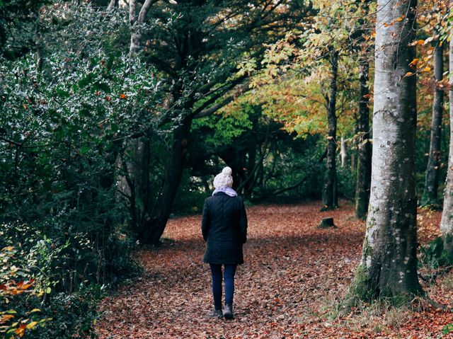 Person walking through a serene autumn forest at sunset. Ideal for nature, adventure, and outdoor wellness themes. Useful for websites, blogs, social media posts, and advertisements promoting hiking, relaxation, and seasonal beauty.